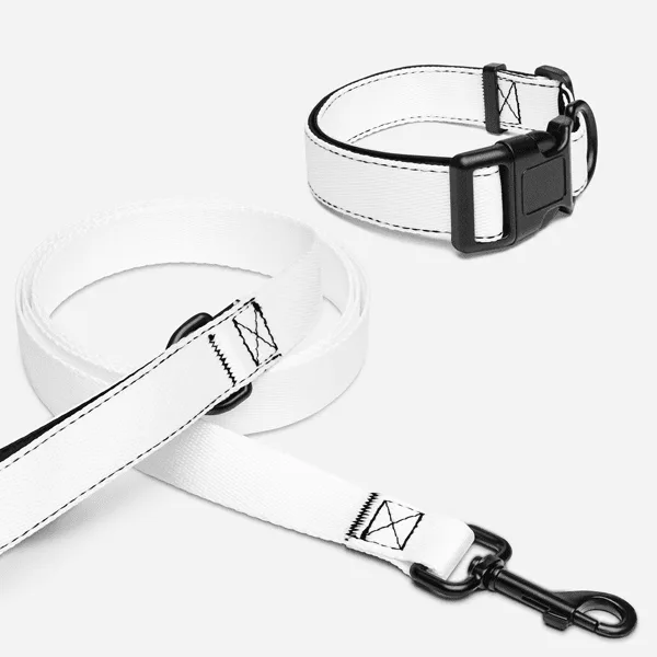 Pet Collar & Leash Set