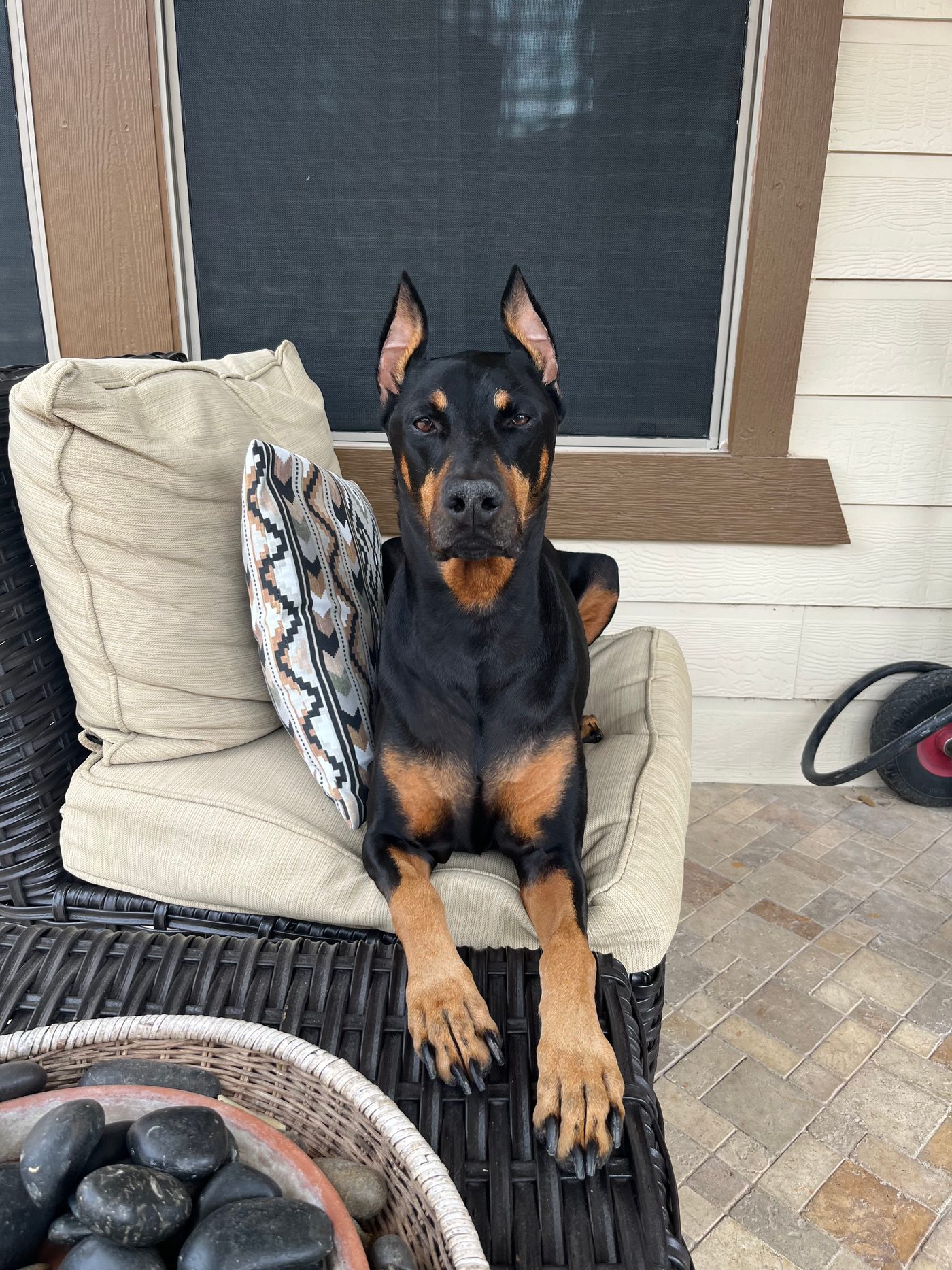 Zion relaxing on her porch chair